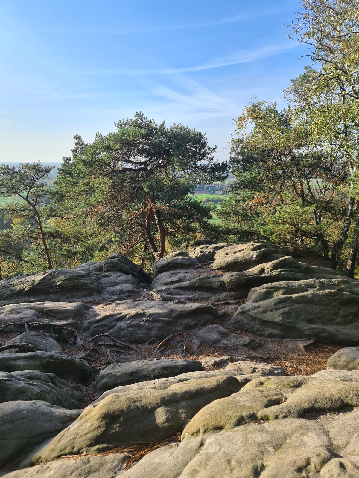 Aussicht von den D&ouml;renther Klippen &uuml;ber Felsen und das M&uuml;nsterland