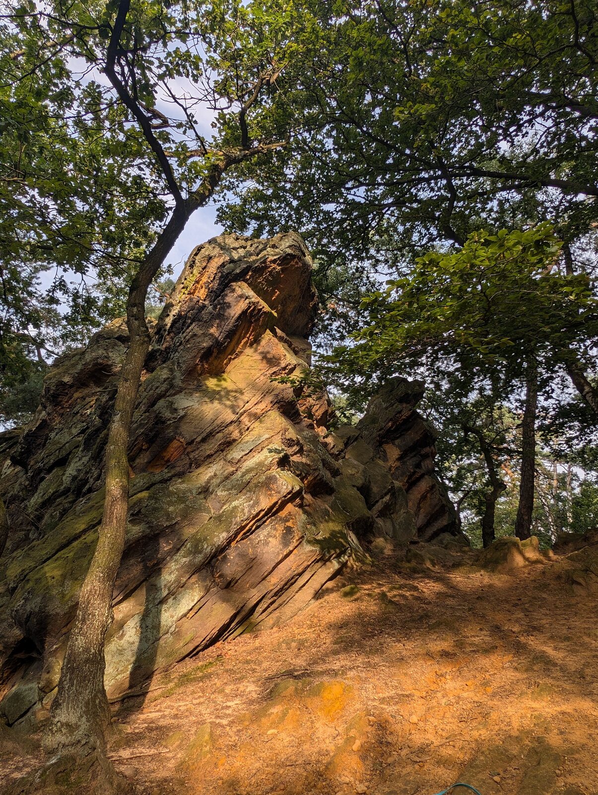 Von der Morgensonne beleuchtete Felsformation im Wald der D&ouml;renther Klippen
